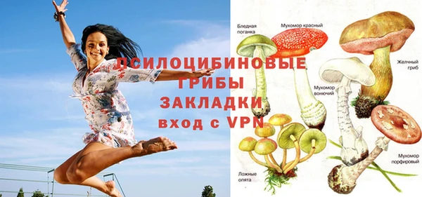 МДМА Лагань