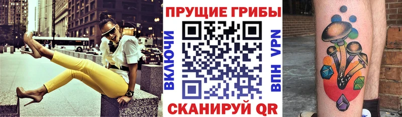Псилоцибиновые грибы Cubensis  Талица 